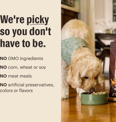 The Honest Kitchen Protein Plus+ Grain-Free Beef Superfoods Dehydrated Dog Food Topper, 12-oz bag slide 2 of 7