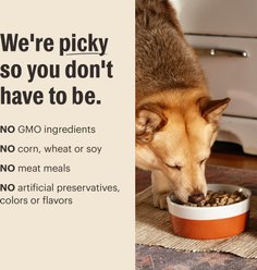The Honest Kitchen Protein Plus+ Clusters Grain-Free Chicken Dry Dog Food, 18-lb bag slide 2 of 8