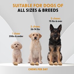 Dr Woow Omega Skin & Coat Salmon Flavored Chews Supplement for Dogs, 90 count slide 2 of 9