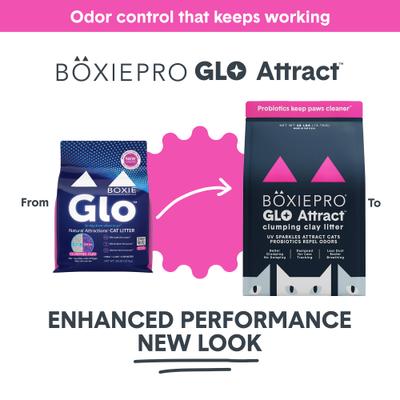Show full view: Boxiecat Pro Glo Natural Stress-Relief Probiotic Clumping Clay Cat & Kitty Litter with UV Attractant, 16-lb bag slide 3 of 10