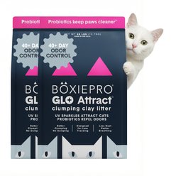 Boxiecat Glo Natural Stress-Relief Clumping Clay Cat & Kitty Litter with UV Attractant, 56-lb bundle