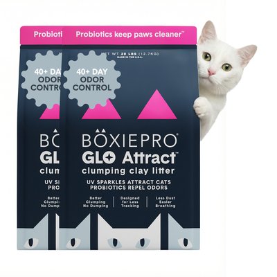 Boxiecat Boxiecat Glo Natural Stress-Relief Clumping Clay Cat & Kitty Litter with UV Attractant, 56-lb bundle