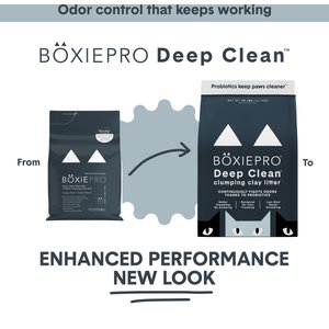 Boxiecat Self-Cleaning Probiotic Clumping Clay Cat & Kitty Litter, 40-lb bag