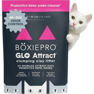 Boxiecat Pro Glo Natural Stress-Relief Probiotic Clumping Clay Cat & Kitty Litter with UV Attractant, 40-lb bag