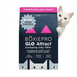 Boxiecat Pro Glo Natural Stress-Relief Probiotic Clumping Clay Cat & Kitty Litter with UV Attractant, 28...