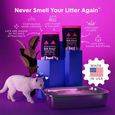 Show full view: Boxiecat Pro Glo Natural Stress-Relief Probiotic Clumping Clay Cat & Kitty Litter with UV Attractant, 28-lb bag slide 3 of 9