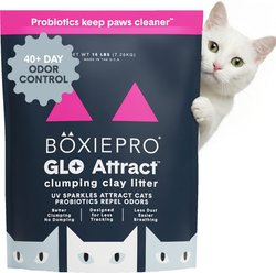 Boxiecat Pro Glo Natural Stress-Relief Probiotic Clumping Clay Cat & Kitty Litter with UV Attractant, 16...
