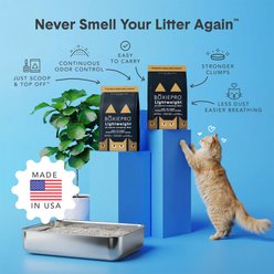 Boxiecat Air Probiotic Lightweight Clumping Cat & Kitty Litter, 11.5-lb bag slide 2 of 8