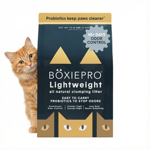 Boxiecat Air Probiotic Lightweight Clumping Cat & Kitty Litter, 11.5-lb bag