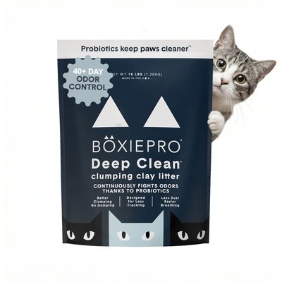 Boxiecat Boxiecat Self-Cleaning Probiotic Clumping Clay Cat & Kitty Litter, 16-lb bag