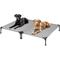 Show in main carousel: Veehoo Cooling Elevated Portable Cot Dog Bed, Sky Grey, Large, 2 count slide 1 of 7