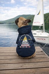 Nautica Fleece Sailing Dog Hoodie, Navy, Medium