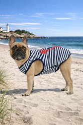 Nautica Stripes & Lobster Dog Tank Top, Navy, X-Small slide 1 of 8