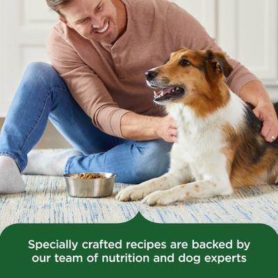 Show full view: Rachael Ray Nutrish Adult Real Chicken & Veggies Recipe Dry Dog Food, 40-lb bag slide 7 of 13