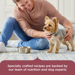 Rachael Ray Nutrish Real Chicken & Veggies Recipe Dry Small Breed Dog Food, 13-lb bag slide 2 of 8