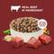 Show in main carousel: Rachael Ray Nutrish Whole Health Blend Real Beef, Pea, & Brown Rice Recipe Dry Dog Food, 40-lb bag slide 5 of 12