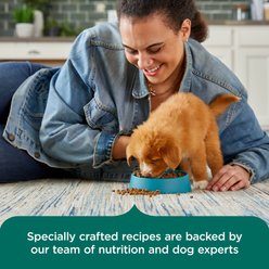 Rachael Ray Nutrish Real Chicken & Brown Rice Recipe Dry Puppy Food, 13-lb bag slide 2 of 8
