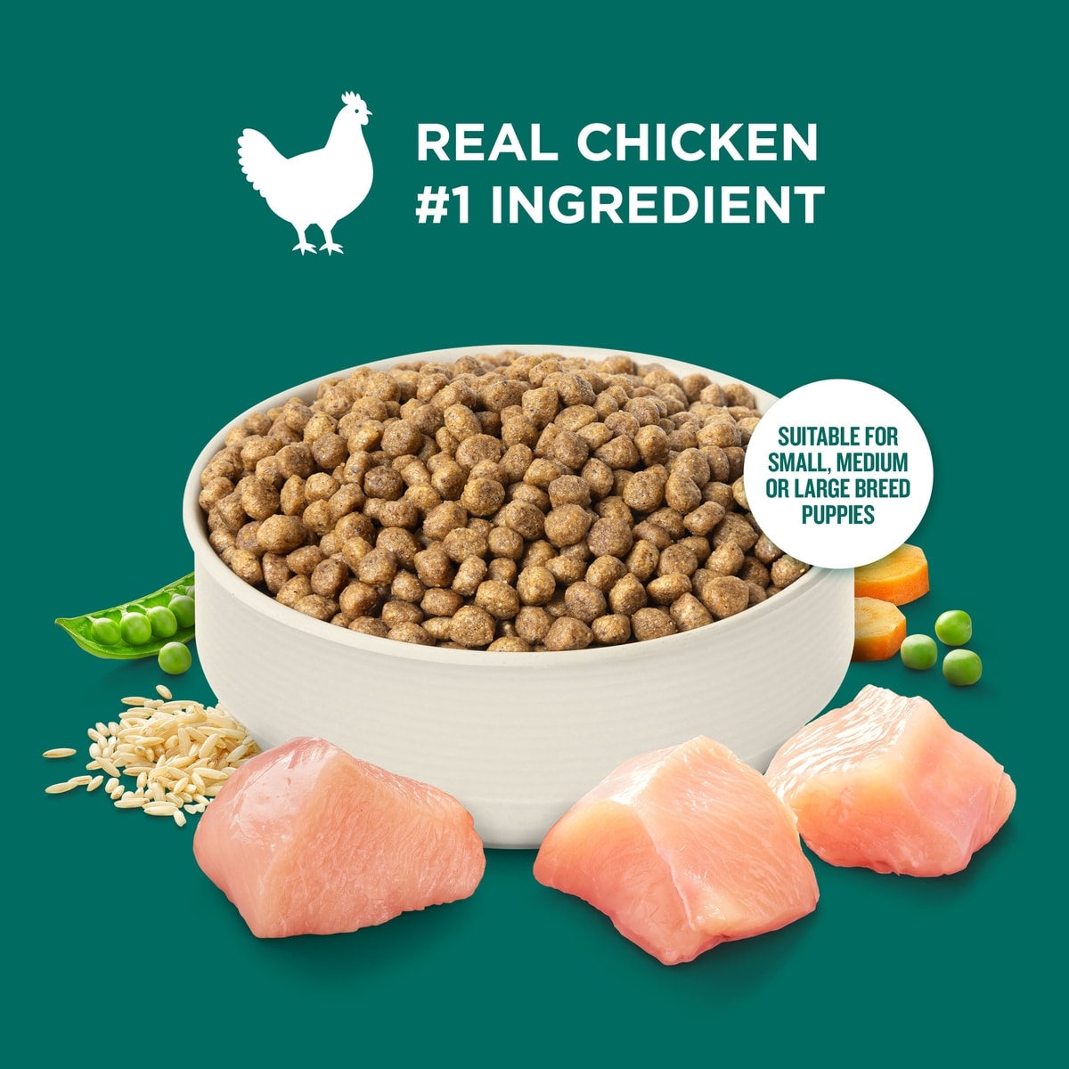 Rhea Ray Rice RACHAEL RAY NUTRISH Real Chicken & Brown Rice Recipe Dry Puppy Food, 13 ...