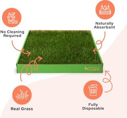 DoggieLawn Large Natural Real Grass Dog Pee Pad, 24-in x 24-in slide 2 of 9