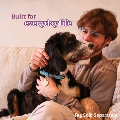 Tailr Waterproof & Odor-Resistant Adjustable Dog Collar, Dusty Turquoise/Leather Brown Loop, Large: 15 to 18-in neck, 3/4-in wide slide 2 of 8