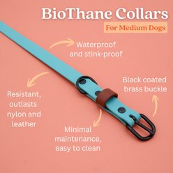 Tailr Waterproof & Odor-Resistant Adjustable Dog Collar, Dusty Turquoise/Leather Brown Loop, Medium: 12 to 15-in neck, 5/8-in wide slide 2 of 8