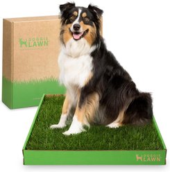 DoggieLawn Large Natural Real Grass Dog Pee Pad, 24-in x 24-in
