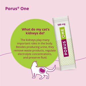 Porus One Kidney Powder Supplement for Cats, 30 count