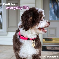 Tailr Waterproof & Odor-Resistant Adjustable Dog Collar, Fuchsia Pink/Black Loop, Medium: 12 to 15-in neck, 5/8-in wide slide 2 of 8