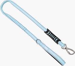 Dog Friendly Co. Bungee Strain Free & Shock Resistant for Control Dog Leash, Sky Blue, Regular