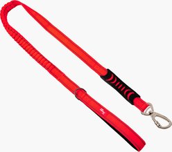 Dog Friendly Co. Bungee Strain Free & Shock Resistant for Control Dog Leash, Red, Small