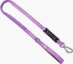 Dog Friendly Co. Bungee Strain Free & Shock Resistant for Control Dog Leash, Purple, Regular