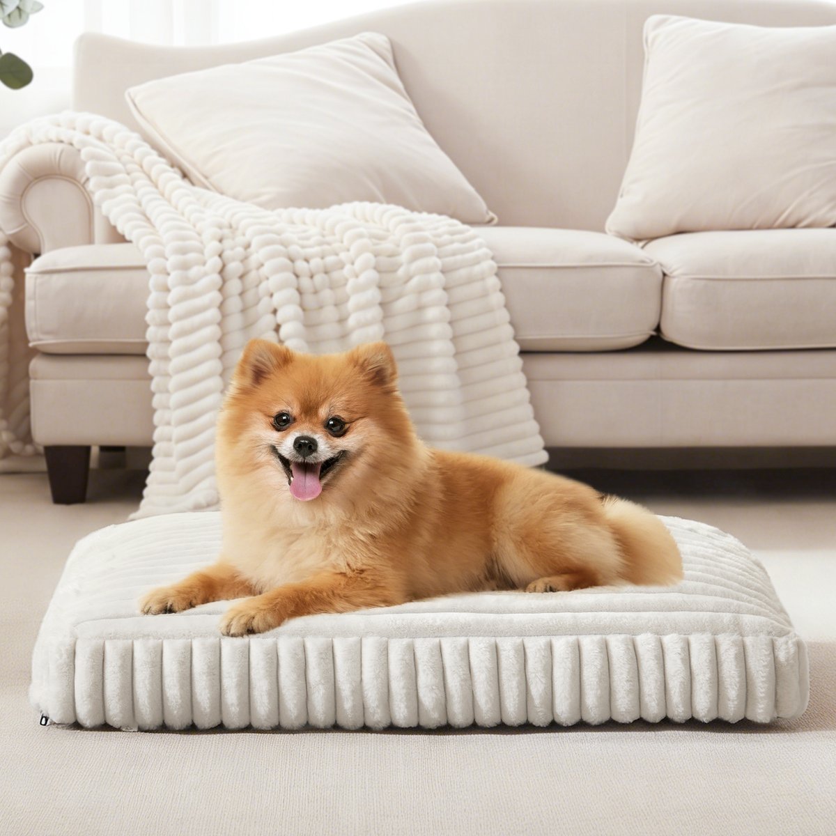AIPERRO Washable Flat Furniture Style Sofa Dog Bed with Removable Cover, White, 42 x 27 x 4-in