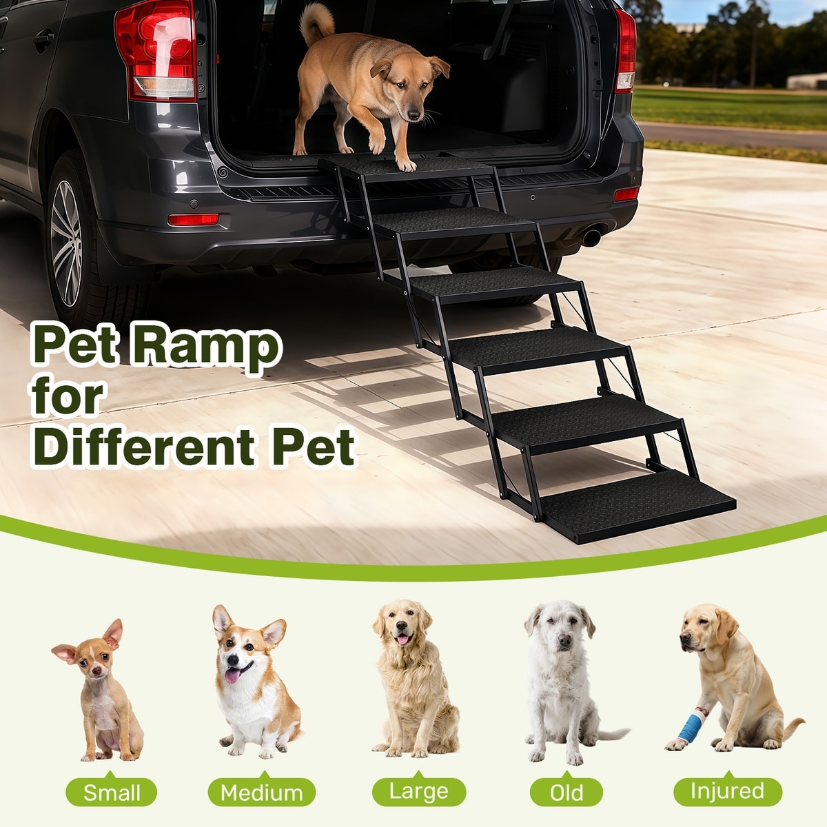 Moe Ramp Discontinued - HEEYOO 6-Steps Folding Dog Ramp for Car with Non-Slip ...