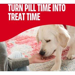 Milk-Bone Pill Pouches Hickory Smoked Bacon Flavor Soft & Chewy Dog Treats, 7.4-oz bag