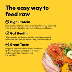 Animals Like Us RawMix25 Ocean Fish & Salmon Recipe Grain-Free Dog Food, 2-lb bag slide 2 of 7