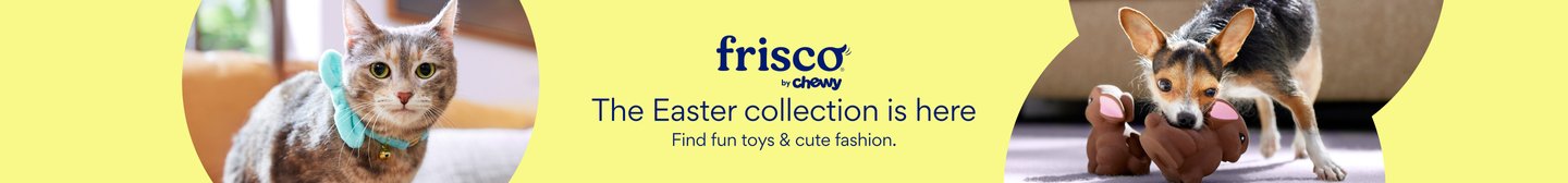 Frisco by Chewy The Easter collection is here Find fun toys & cute fashion.