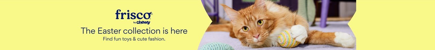 Frisco by Chewy The Easter Collection is here Find fun toys & cute fashion.