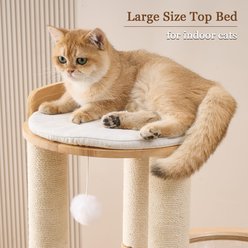 Hittite 54-in Solid Wood Cat Tree with Sisal Scratching Posts, Capsule & Hammock, Natural, 23.62 x 23.62 x 53.54-in slide 2 of 9