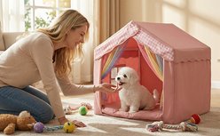 MALOROY Indoor Pet Tent with Sturdy Frame & Window Washable Cave Bed Cover for Dog & Cat, Pink, 26 x 25 x 25-in slide 2 of 9