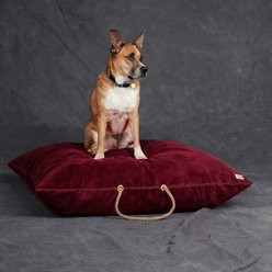 Found My Animal Velvet Pillow Dog Bed, Burgundy, Large slide 2 of 4