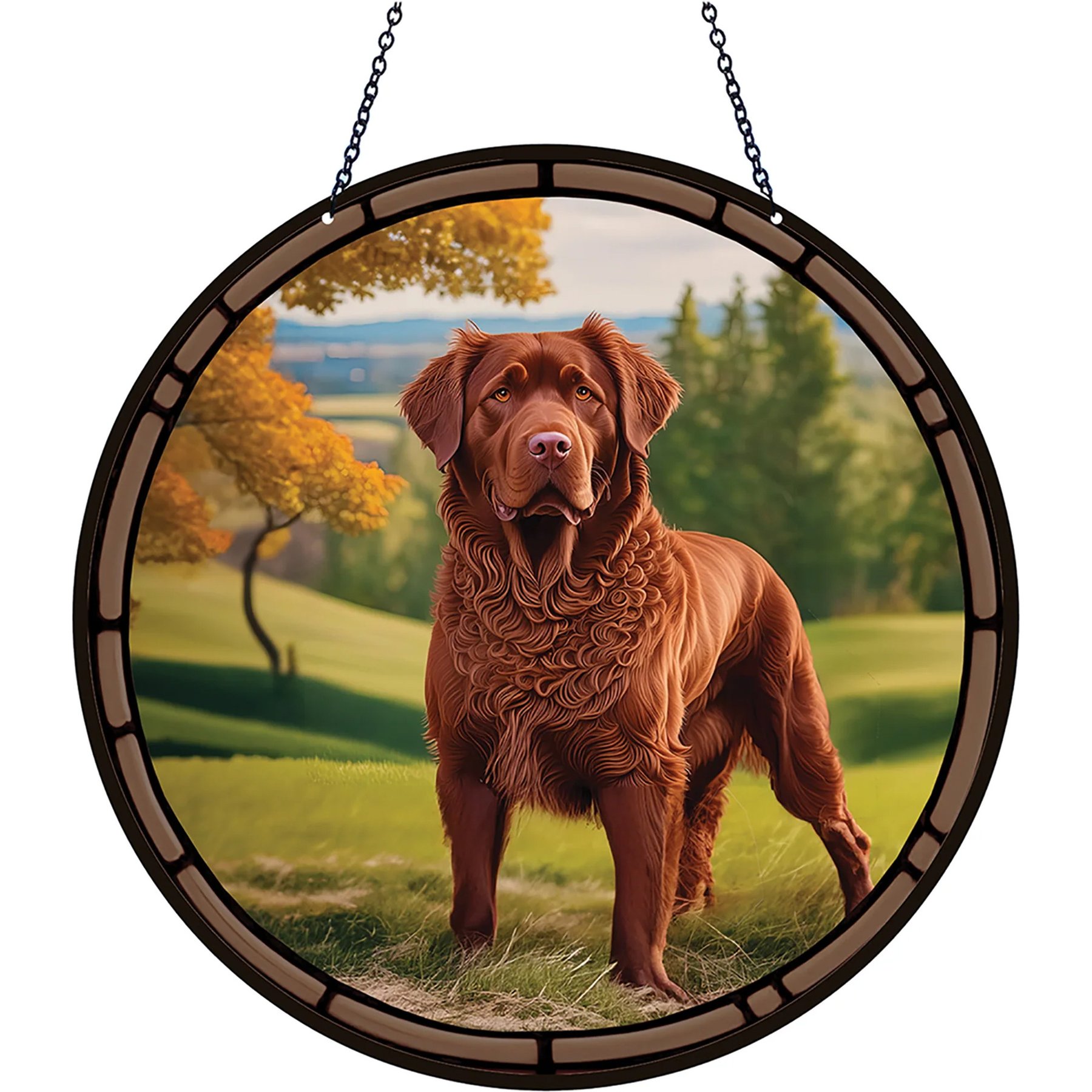 d'ears Chesapeake Bay Retriever Suncatcher