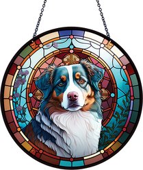 d'ears Australian Shepherd