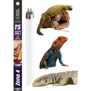 ARCADIA REPTILE Pro T5 Kit, Desert 12% UVB, 24W, 24