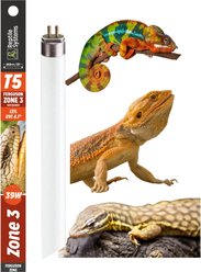 Reptile Systems T5 Ferguson Zone 3 12% HO UVB Desert Reptile Lamp, 34-in, 39-watt