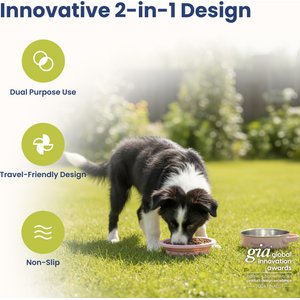 PawsPik 2-in-1 18/8 Stainless Steel & Silicone Dog & Cat Travel Bowl, 4 cup, Cherry Blossom Pink