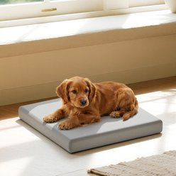 Caghash Orthopedic Memory Foam Dog & Cat Bed with Removable Washable Cover, Grey, 20 x 20 x 2-in slide 2 of 7