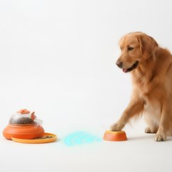PawsPik Wireless Remote Interactive Dog Feeder, Medium, Yellow