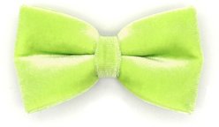 Made By Cleo Velvet Adjustable Cat Collar, 8 to 13-in neck, 1/2-in wide, Apple Green slide 2 of 3