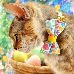 Made By Cleo Egg Hunt Bow Tie for Small Dogs & Cats slide 2 of 3
