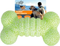 allforpaws Outdoor FetchiBone Dog Toy, Green, 6.9 x 3.9 x 3.9-in